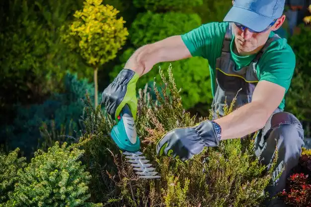 landscaping services Camden Point